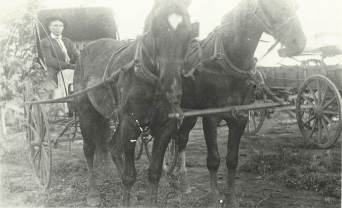 William Clark Latimer